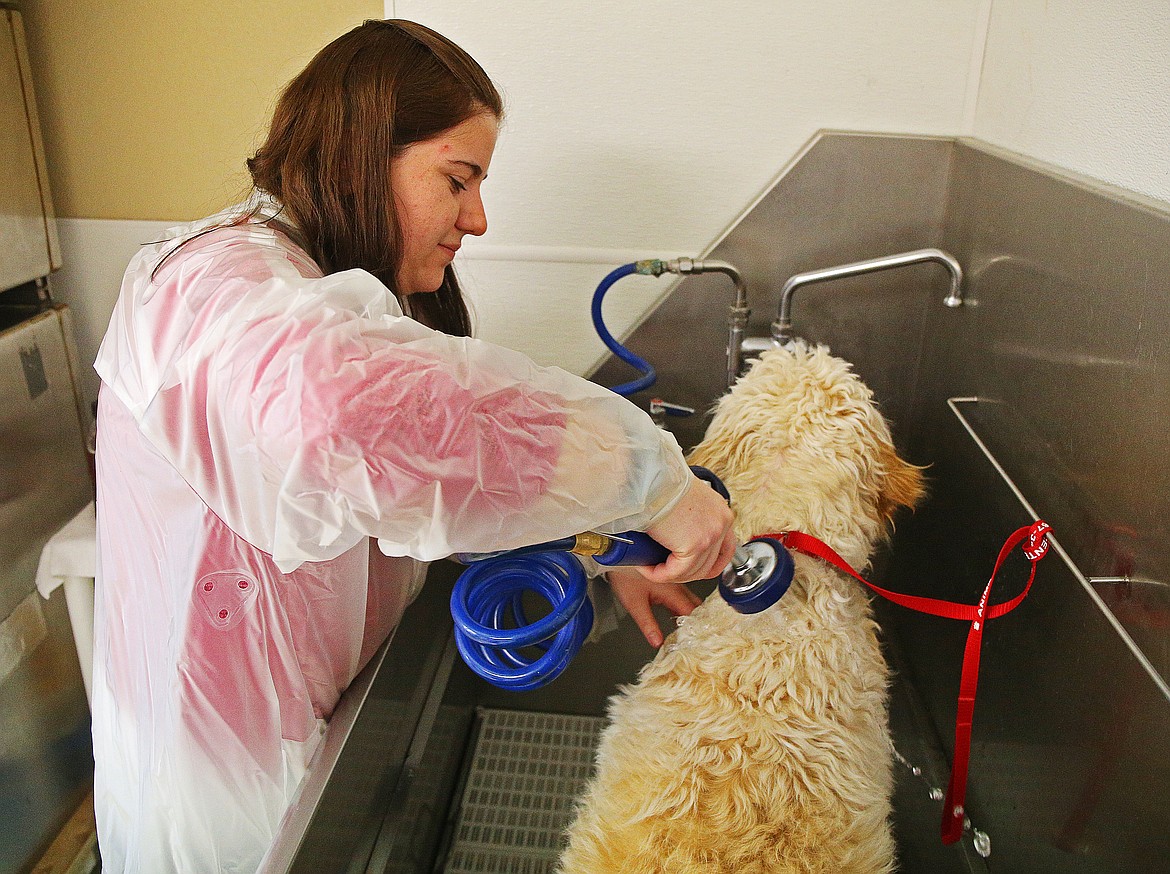 What if WATER HURT? Coeur d'Alene Press